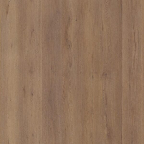 LIVERA LICHTBRUIN EIKEN