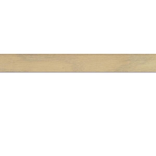 CO-PRO PLAKPLINT ESSEN 8437