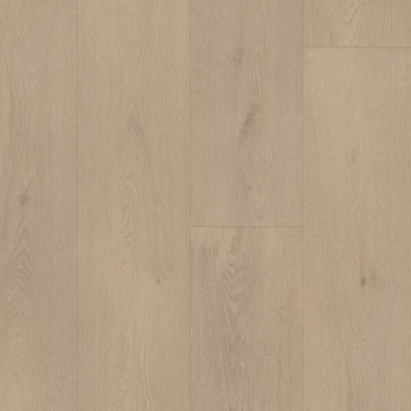PALAZZO 740 | (Dryback)