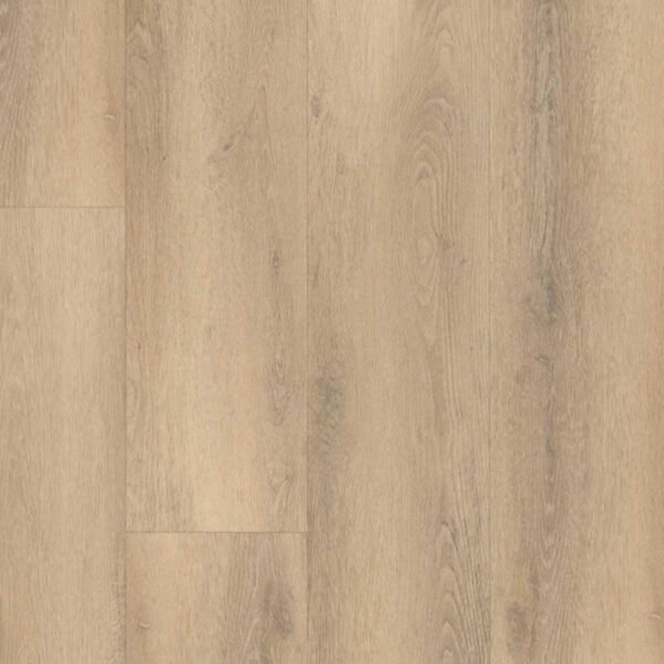 PALAZZO 750 | RIGID CLICK (Dryback)