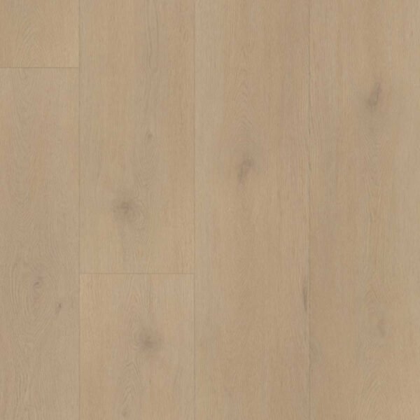 PALAZZO 770 | (Dryback)