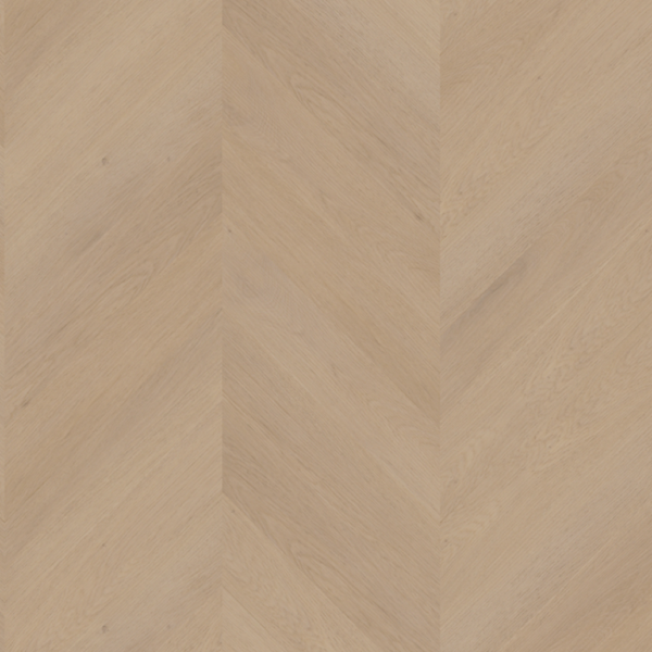 PALAZZO HONGAARSE PUNT 77