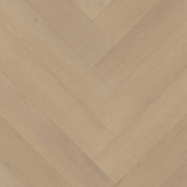 PALAZZO VISGRAAT XL 77 | RIGID CLICK