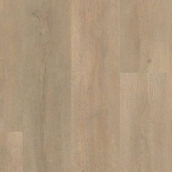 PALAZZO 710 | RIGID CLICK