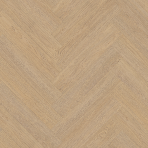 TERRENO VISGRAAT XL 61 (Dryback)